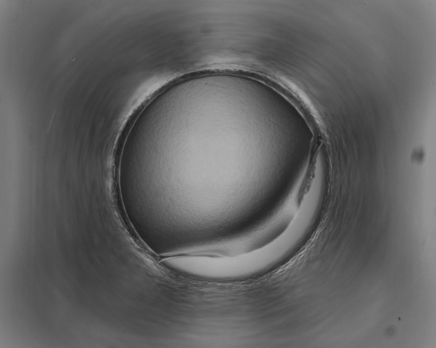 X0000097751277200803281601