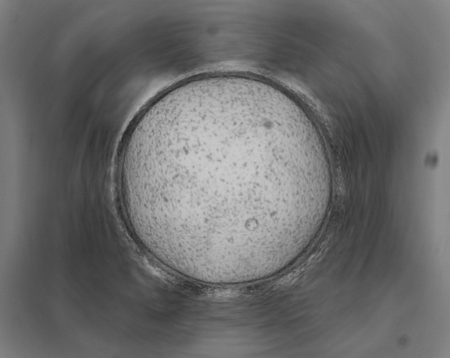 X0000097751278200803281601