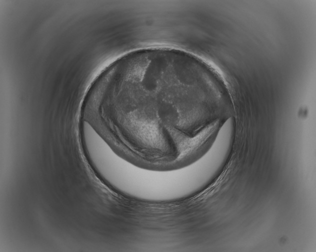 X0000097751279200803281601