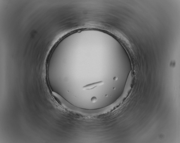 X0000097751280200803281601