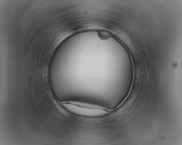 X0000097751281200803281601