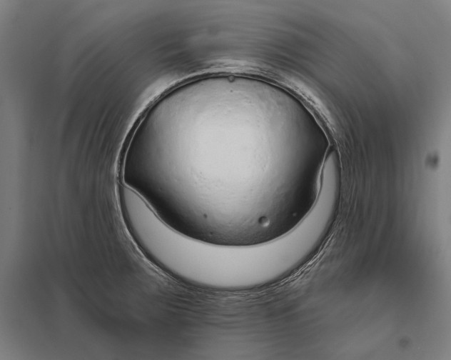 X0000097751283200803281601