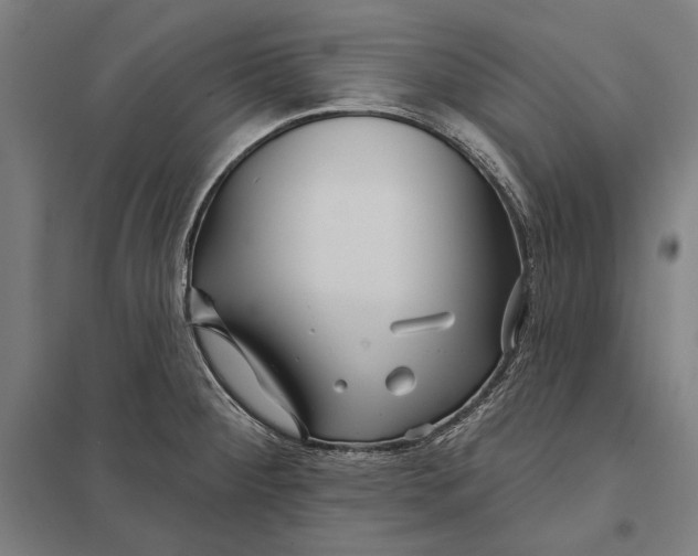 X0000097751284200803281601