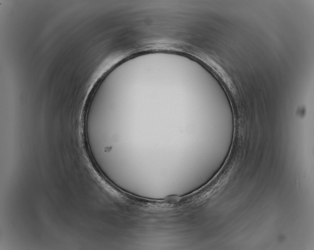 X0000097751285200803281601