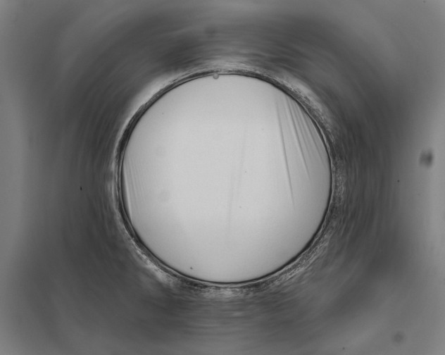 X0000097751286200803281601