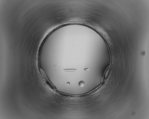 X0000097751288200803281601