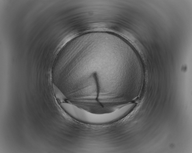 X0000097751289200803281601