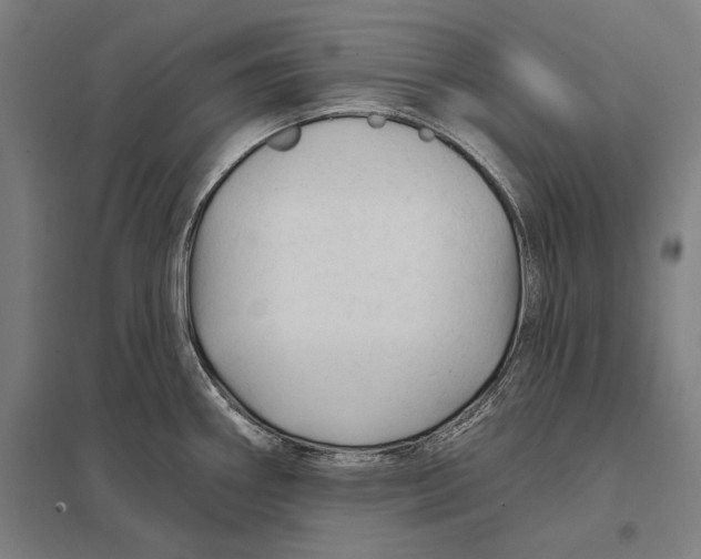 X0000097751290200803281601