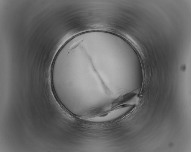 X0000097751291200803281601