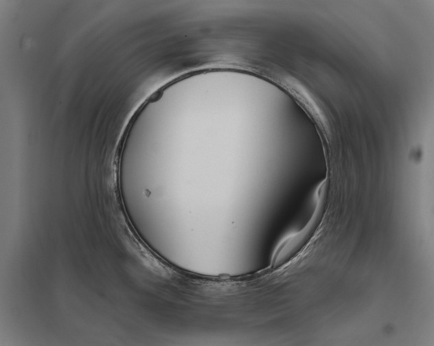 X0000097751292200803281601