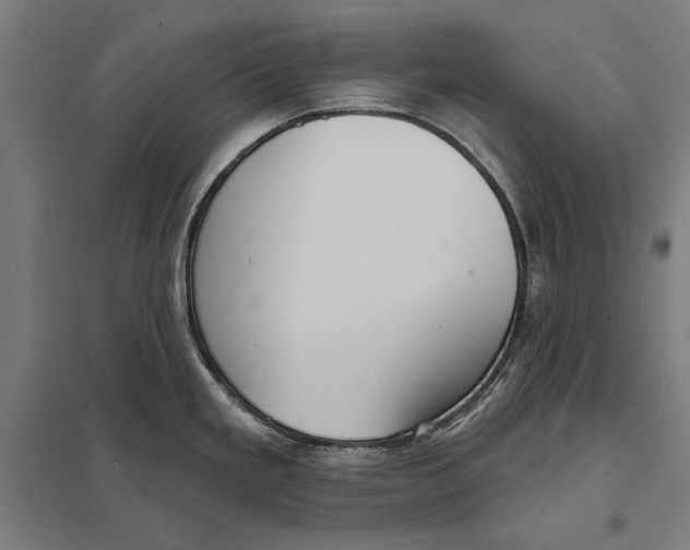 X0000097751293200803281601