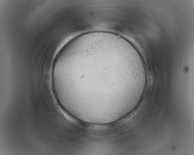 X0000097751294200803281601