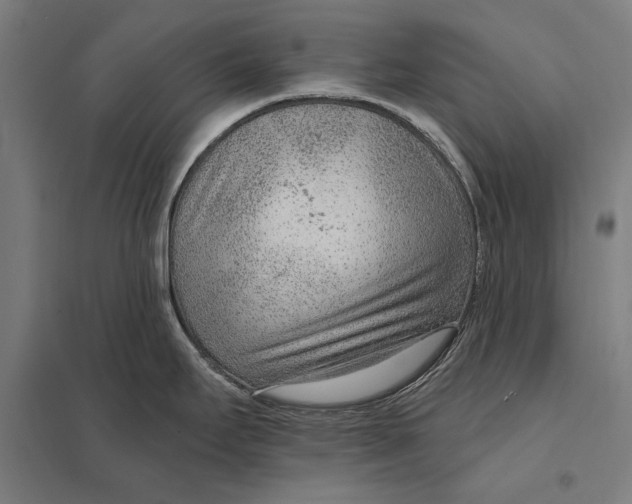 X0000097751295200803281601