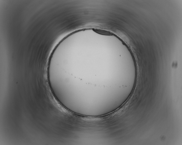 X0000097751296200803281601