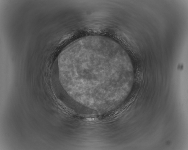 X0000097751297200803281600