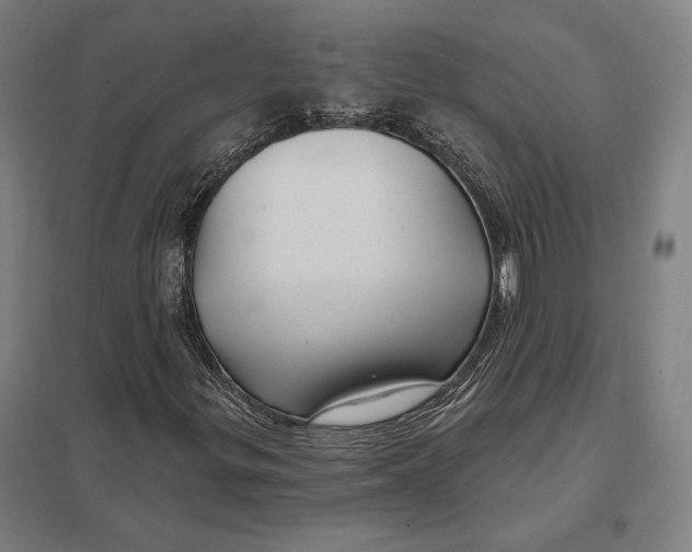 X0000097751299200803281600