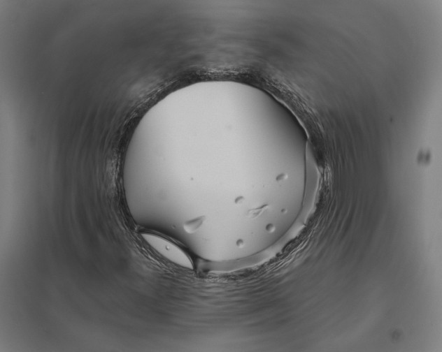 X0000097751300200803281600