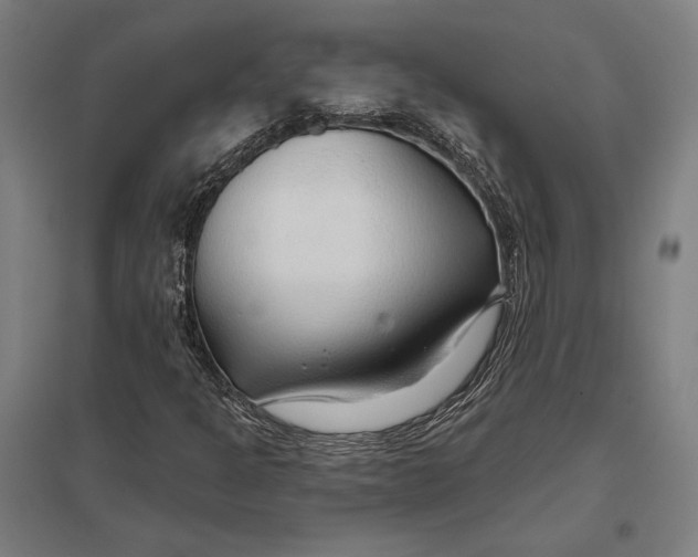 X0000097751301200803281600