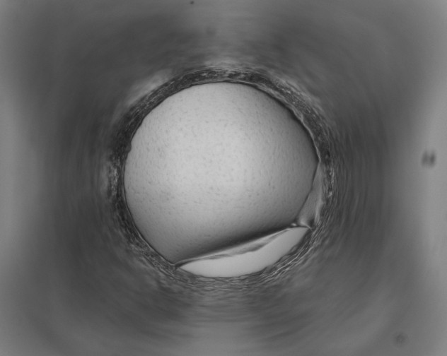 X0000097751302200803281600