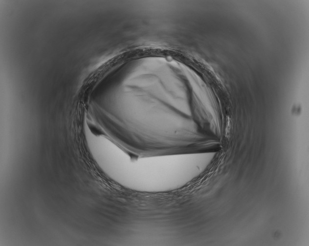 X0000097751303200803281600