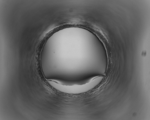 X0000097751304200803281600