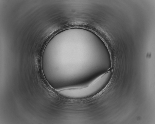 X0000097751305200803281600