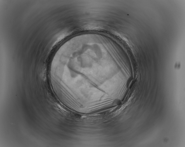 X0000097751306200803281600