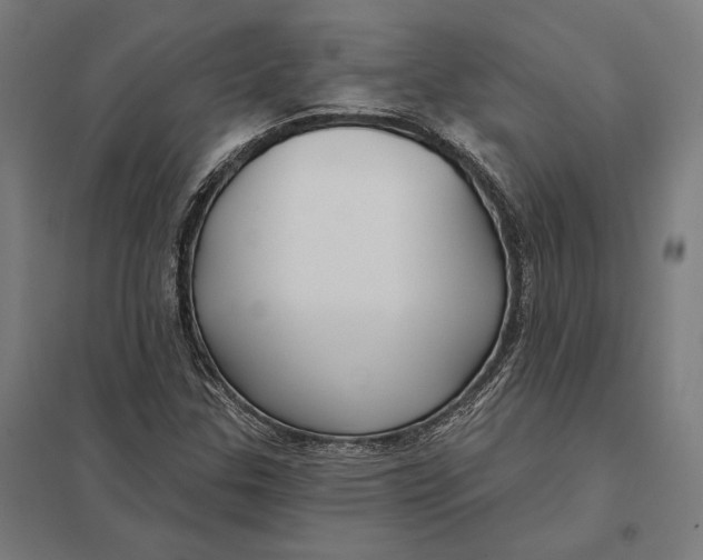 X0000097751307200803281600