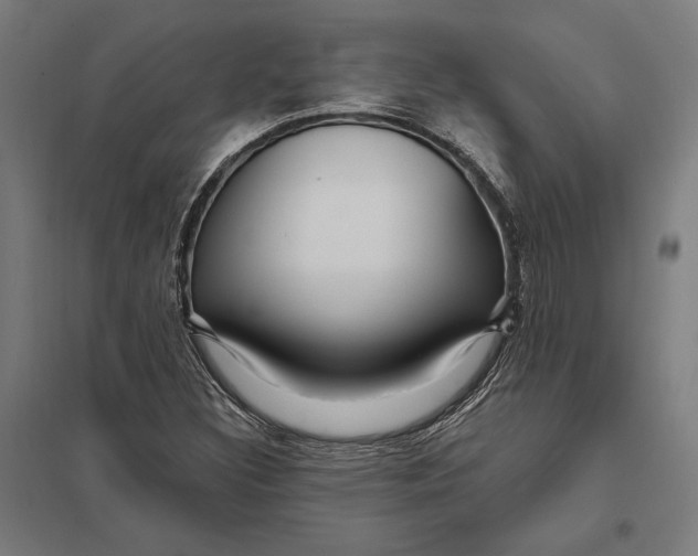 X0000097751308200803281600