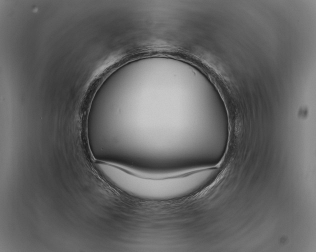 X0000097751309200803281600