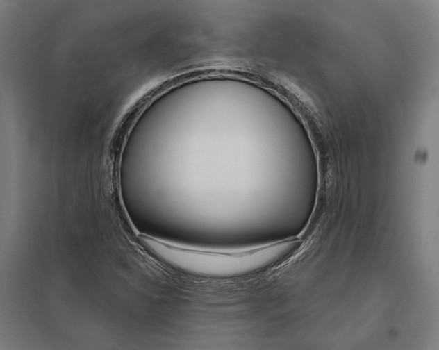 X0000097751310200803281600