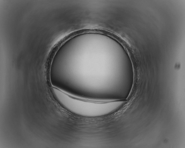 X0000097751311200803281600