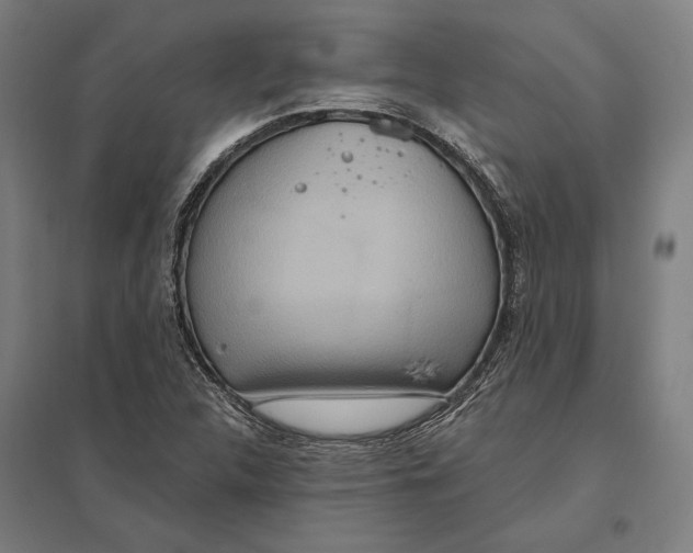 X0000097751312200803281600