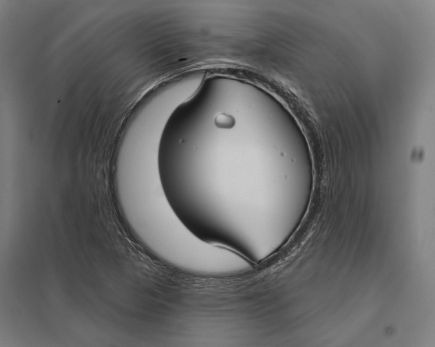 X0000097751313200803281600