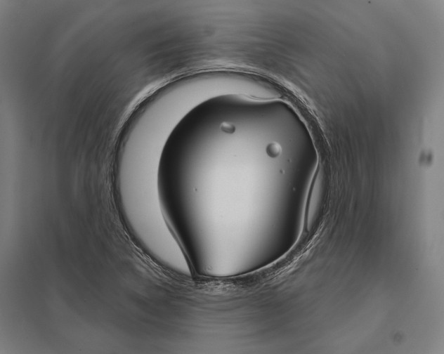 X0000097751314200803281600