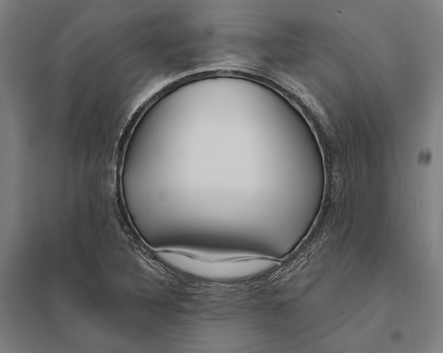 X0000097751316200803281600