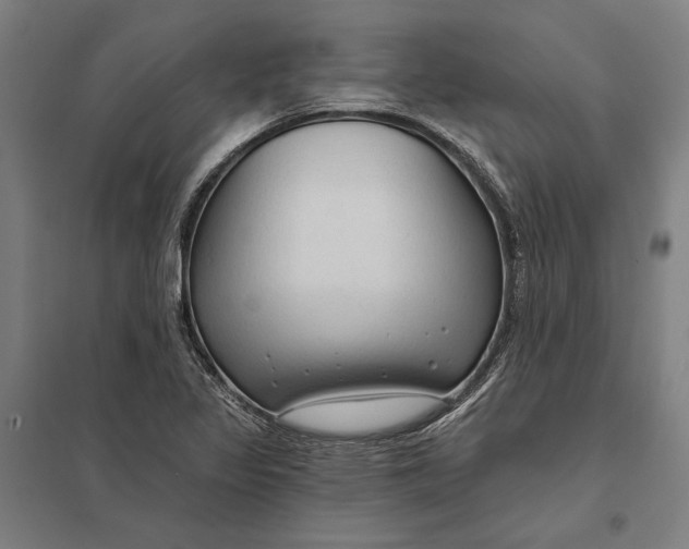 X0000097751317200803281600