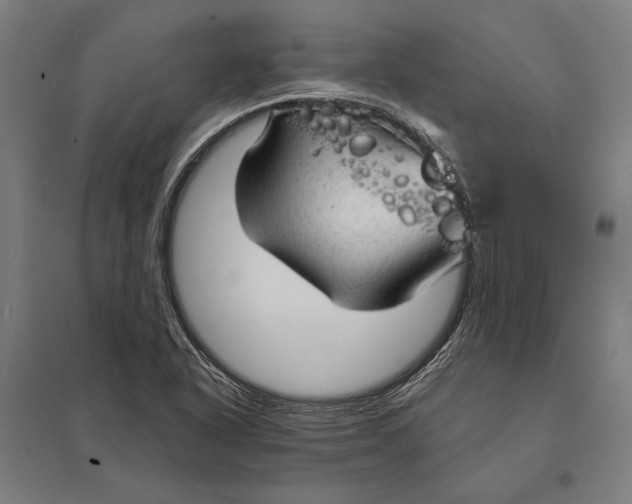 X0000097751318200803281600