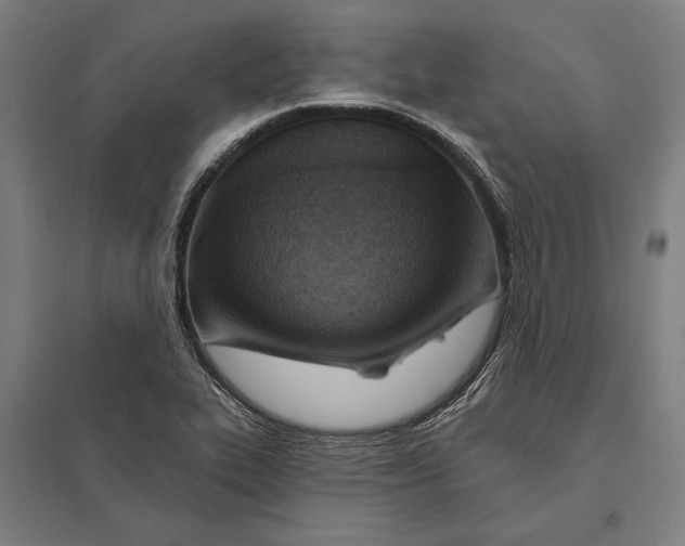 X0000097751319200803281600