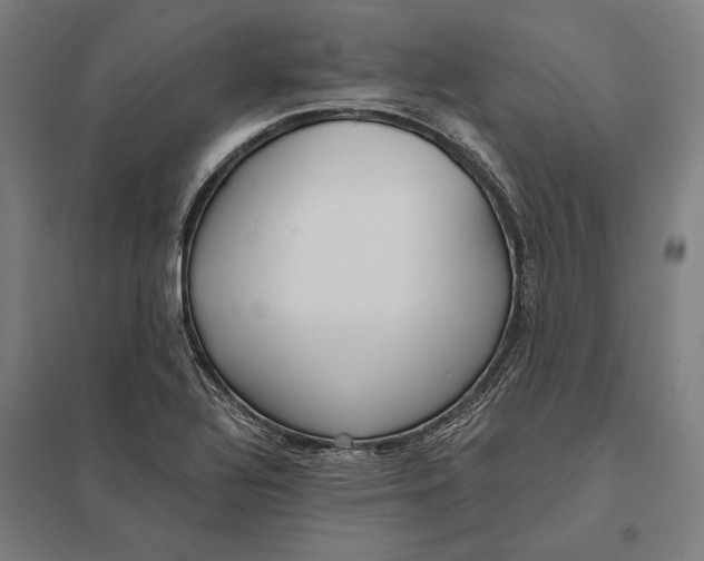 X0000097751320200803281600