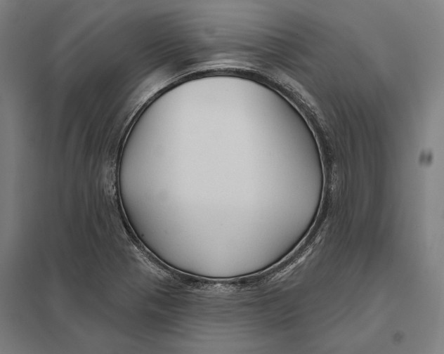 X0000097751321200803281600