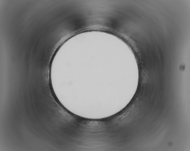 X0000097751322200803281600