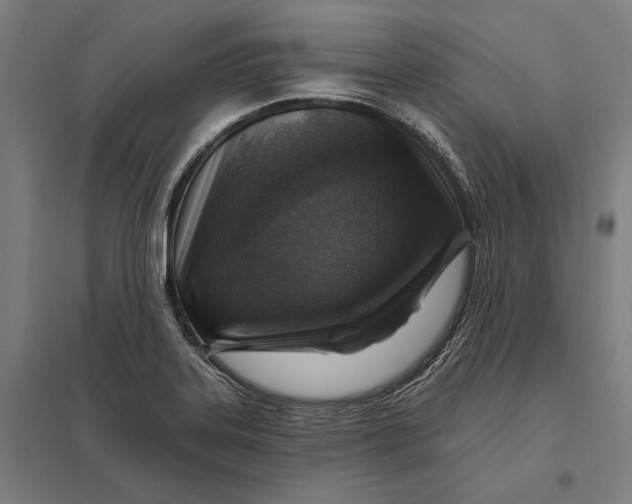 X0000097751323200803281600