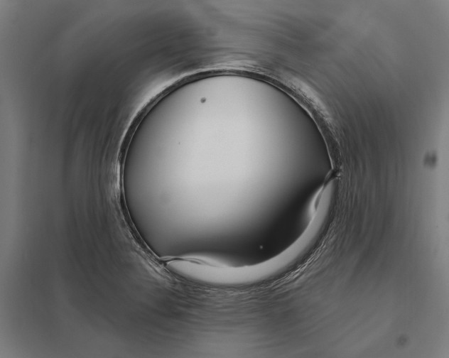 X0000097751324200803281600