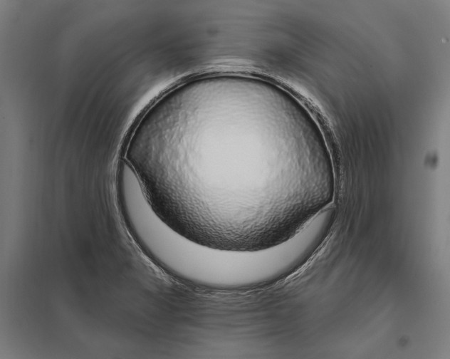 X0000097751325200803281600