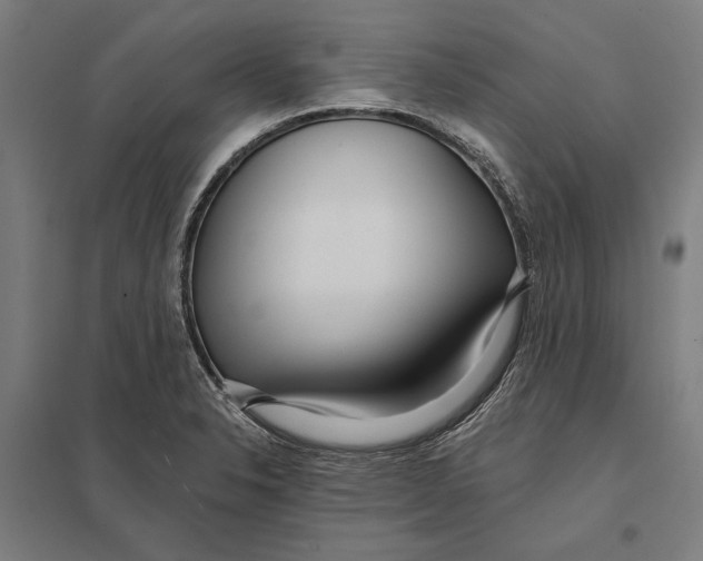 X0000097751326200803281600