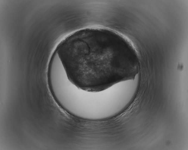 X0000097751327200803281600