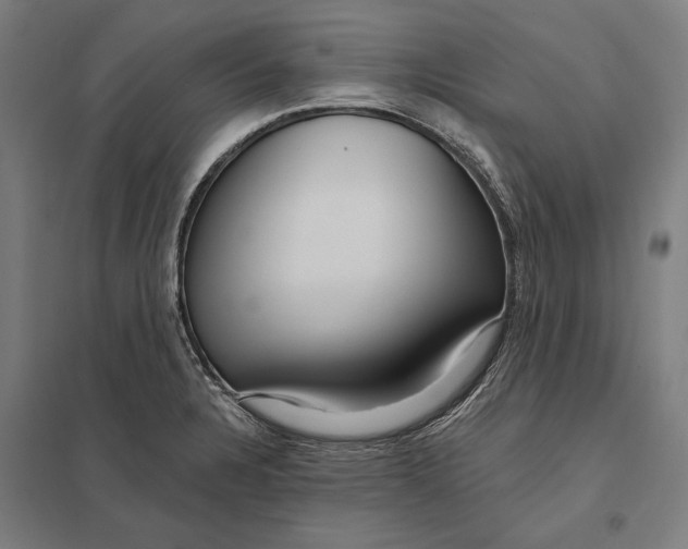 X0000097751328200803281600