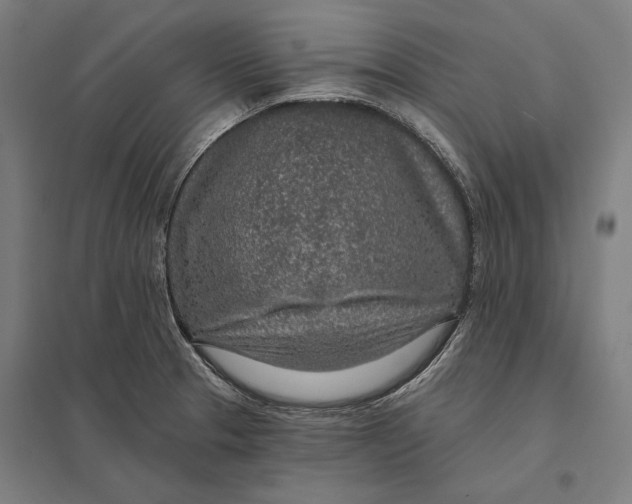 X0000097751329200803281600