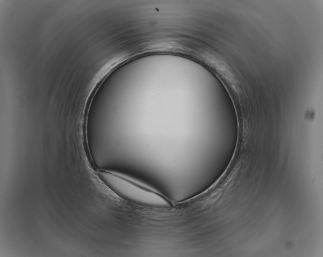 X0000097751330200803281600